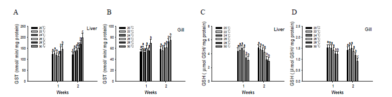 GST (A) and GSH (B) changes in liver (C) and gill (D) of olive flounder, P. olivaceus, in biofloc exposed to different temperatures for 2 weeks.