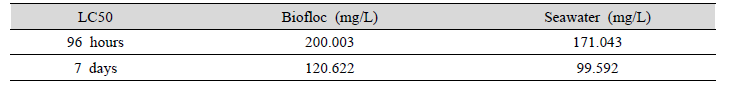 LC50 of P. olivaceus, cultured in biofloc and seawater exposed to nitrite