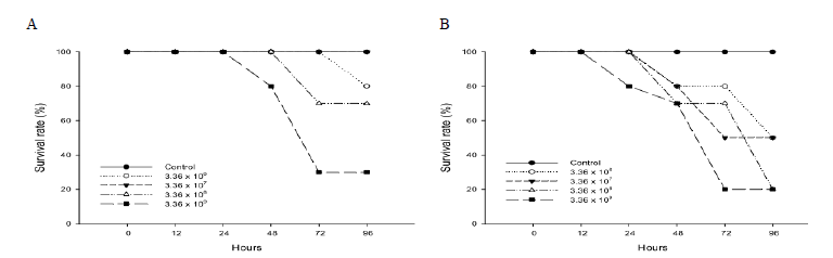 Survival rates of olive flounder, P. olivaceus, cultured in biofloc (A) and seawater (B) exposed to Streptococcus iniae.