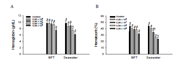 Hemoglobin (A) and hematocrit (B) of olive flounder, P. olivaceus, cultured in biofloc and seawater exposed to Streptococcus iniae