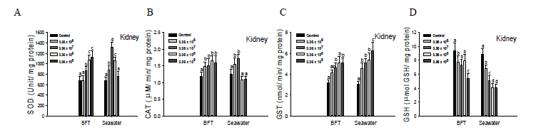 Antioxidant enzymes SOD (A), CAT (B), GST (C) and GSH (D) of olive flounder, P. olivaceus, cultured in biofloc and seawater exposed to Streptococcus iniae.