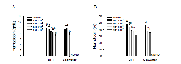 Hemoglobin (A) and hematocrit (B) of olive flounder, P. olivaceus, cultured in biofloc and seawater exposed to Edwardsiella tarda.