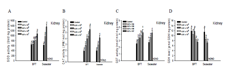 Antioxidant enzymes SOD (A), CAT (B), GST (C) and GSH (D) of olive flounder, P. olivaceus, cultured in biofloc and seawater exposed to Edwardsiella tarda.