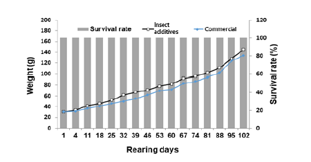 Comparison of growth and survival rate of olive flounder, P. olivaceus, fed on conventional and insect additives feeds.