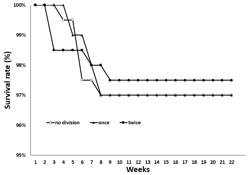 Comparison of animal survival rate between divided experimental tanks.