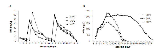 The changes of ammonia (A) and nitrite (B) concentration in culture water for incubating Ammonia Oxidizing Bacteria.