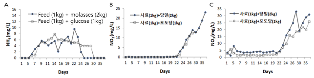 Effects of molasses and glucose added in formulated feed on the concentrations of nitrate nitrogen. (A) Ammonium, (B) Nitrite, (C) Nitrate.