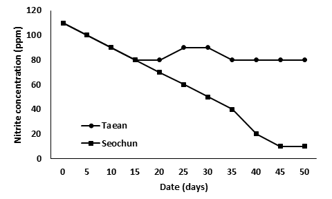 Comparison of nitrite oxidation efficiency of tidal flats in Taean and Seocheon.