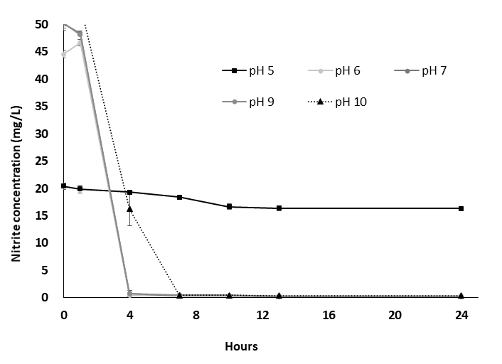 Nitrite oxidation experiments under different pH levels.