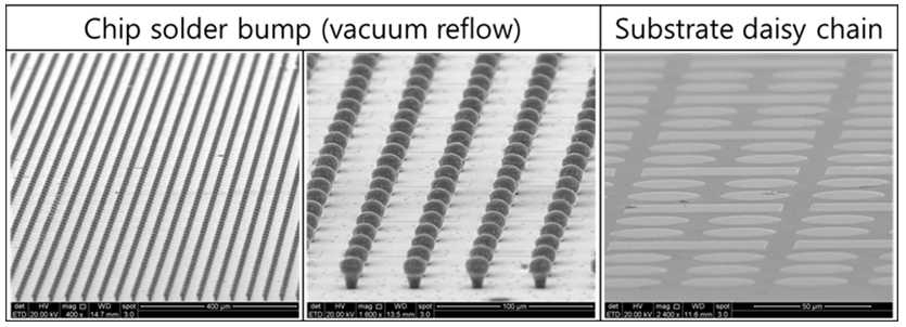 3차년도 sample SEM 사진