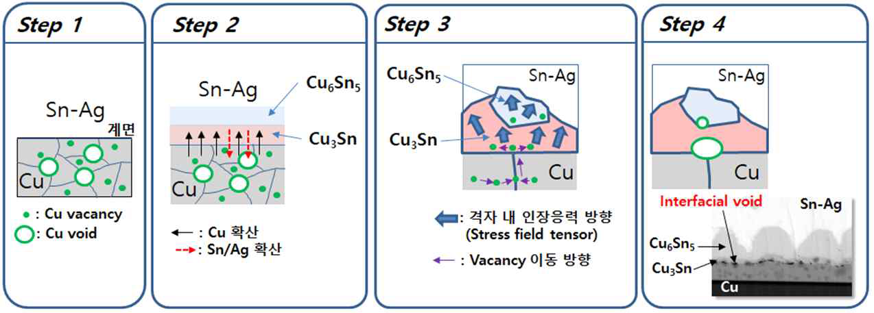 본 연구에서 제안된 계면 void 형성 메커니즘