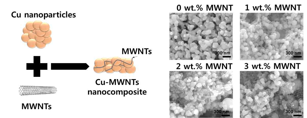 Cu-MWNT 나노복합재 개념도 및 미세조직 이미지