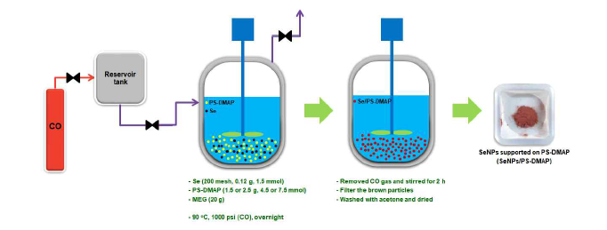 SeNP/PS-DMAP 촉매의 제조 과정