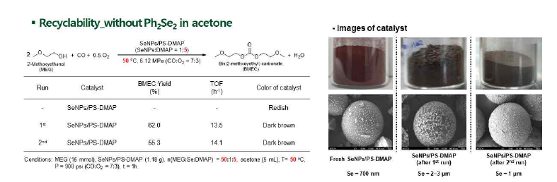SeNP/PS-DMAP 촉매시스템의 활성 및 SEM 이미지