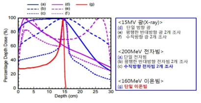 여러 입자빔이 생성하는 심부 선량 백분율