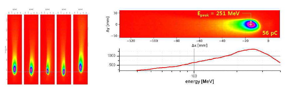 최적화된 조건에서 가속된 전자빔 에너지 왼쪽은 연속된 5번의 실험결과이며 오른쪽은 전자빔 에너지 분포를 표시