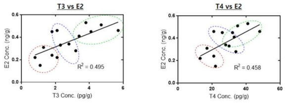 Zebrafish 내 갑상선 호르몬(T3 & T4)와 E2와의 상관관계 분석