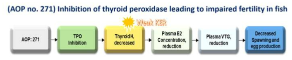 갑상선 호르몬 억제 연계 생식독성 발현경로(AOP-wiki no.271)