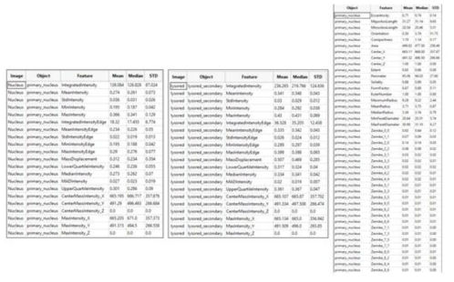 Cell profiler 분석을 이용한 정량화