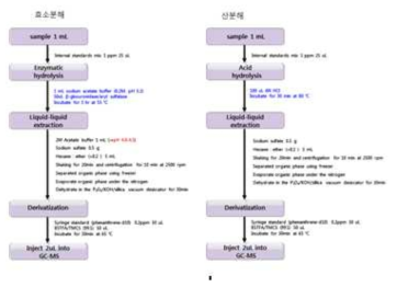 뇨시료 중 MEHP 대사체 분석을 위한 가수분해 및 전처리 방법 모식도