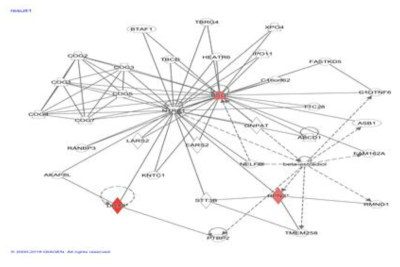 pathway 분석을 통한 Bisphenol 유발 toxic effect와 연관된 단백체 분석결과