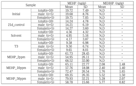 Zebra fish 중 MEHP와 MEHHP의 함량 분석 결과