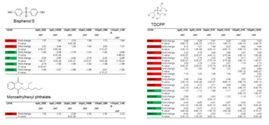 Bisphenol S, Tris(1,3-dichloroisopropyl)phosphate (TDCPP), Monoethylhexyl phthalate을 세포주에 처리한 뒤 RNA-Seq을 활용하여 유전체의 변화 분석