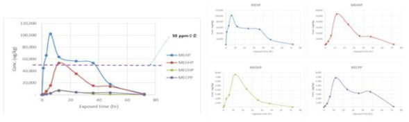 MEHP 및 대사체들의 시간에 따른 zebrafish 내 평균 잔류농도