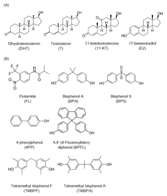 (A) 내인성호르몬 및 (B) 내분비계장애후보물질의 화학 구조식