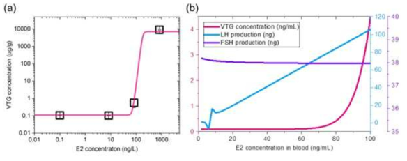 (a) E2 농도 변화에 따른 체내 VTG 농도 변화 곡선(노출 40일 이후), (b) 생합성된 VTG, FSH, LH 량의 혈중 E2 농도 변화에 대한 in silico 모의 실험 결과