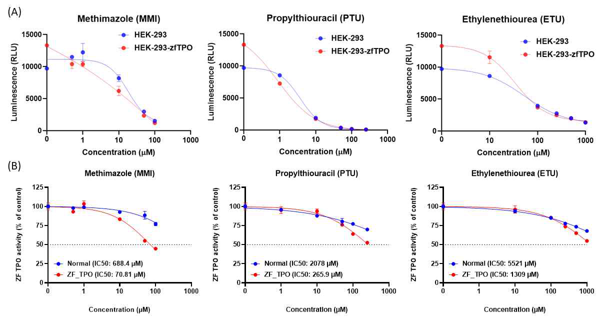 Luminol assay와 amplex UltraRed assay의 활성 비교. (A) Luminol assay를 이용한 HEK293과 HEK293-zfTPO의 TPO 활성 결과. (B) Amplex UltraRed assay를 이용한 HEK293과 HEK293-zfTPO의 TPO 활성 결과