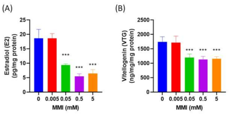 zebrafish embryo에서 MMI 노출에 따른 estrogen 및 vitellogenin의 수준