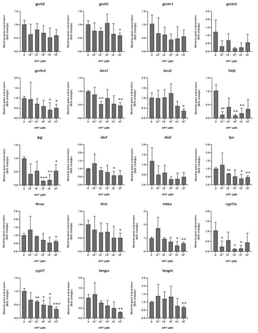 제브라피쉬 배아에서 4-pp 노출에 따른 유전자 발현 변화