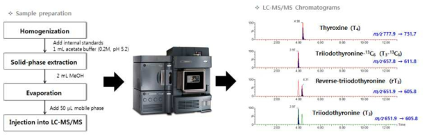 Zebrafish 시료에서 thyroid hormones(T4, T3, rT3)를 최적으로 추출할 수 있는 전처리 및 분석방법 모식도