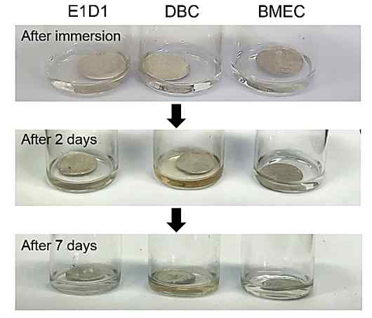 E1D1, BMEC 전해질에 리튬 메탈 담지 직후, 2일 후, 7일 후 사진