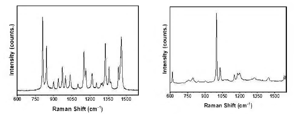 폴리프로필렌(좌)과 폴리스타이 렌(우) 입자의 라만 분광분석 결과