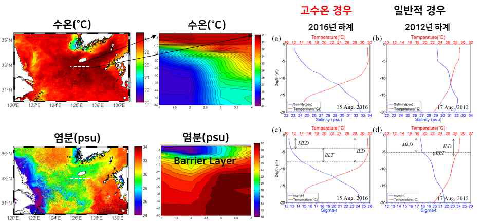 저염수에 의한 고수온 발생 기작