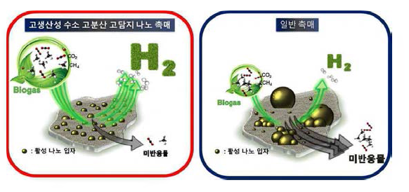 고분산 고담지 나노촉매와 일반 촉매 비교