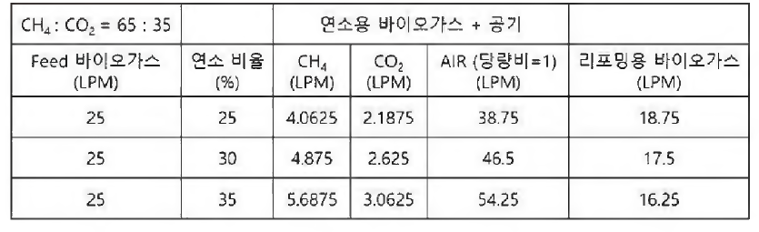 바이오가스 연소 및 리포밍 전 반응물 조성