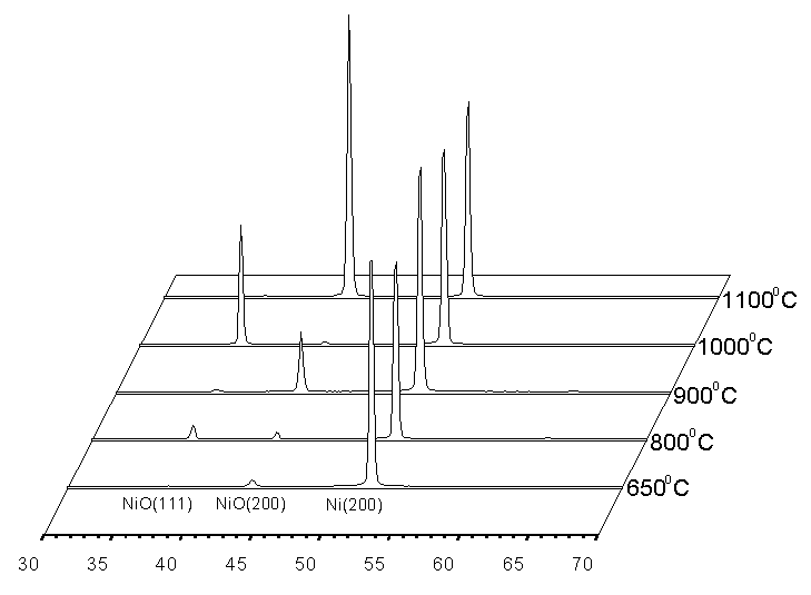 열처리 온도에 따른 NiO 상의 결정성장 변화