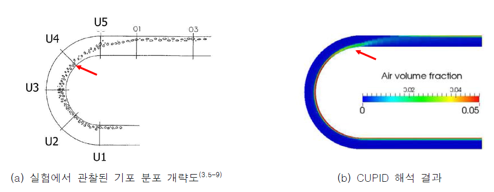 곡관을 따라 이동하는 기포 분포