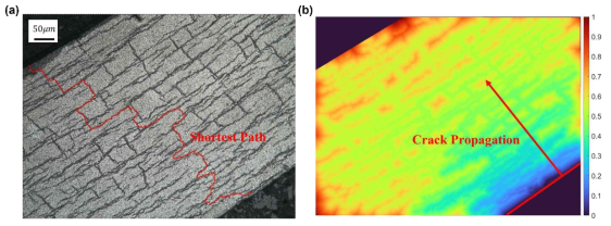 (a) Minimum resistant path, (b) crack propagation 방향과 관련된 컬러맵