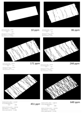 MATLAB Image Processing 과정