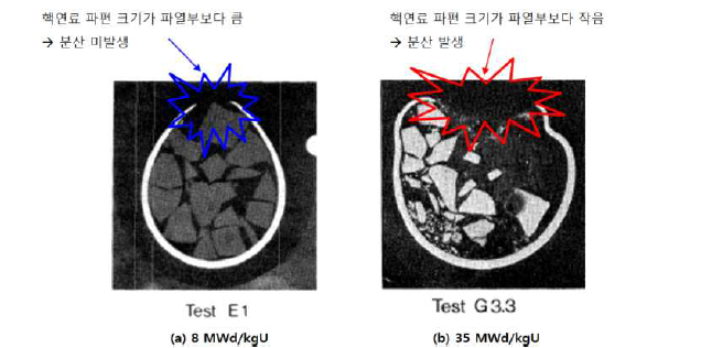 피복관 파열이 발생했던 시편의 단면도 (출처: KfK-3346, “LWR Fuel Rod Behavior in the FR2 in-Pile Tests Simulating the Heatup Phase of a LOCA”& KfK-3028, “KfK in-Pile Tests on LWR Fuel Rod Behavior during the Heatup Phase of a LOCA”)