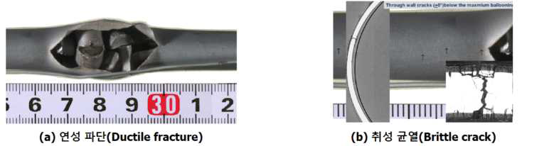 IFA-650.2에서 연성파단 및 취성균열 발생 시편 (출처: NEA/CSNI/R(2009)15, “Nuclear Fuel Behavior in Loss-of-Coolant Accident (LOCA) Conditions—State of the Art Report”)