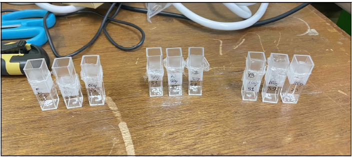 각25 mg의 준비된 enamel 샘플들의 모습