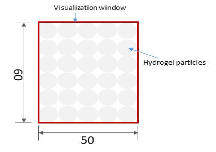 선택한 시각화 window의 개략도