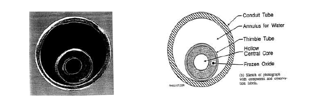 Thimble tube 내부에 고화된 Ring 형태의 노심파편