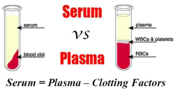 혈장(Plasma)와 혈청(Serum)의 차이점(발췌 : 인터넷 검색)