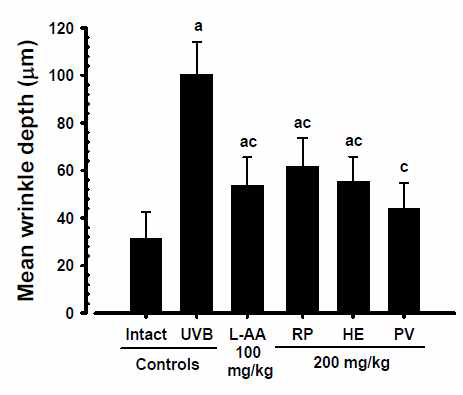 Changes of Average Depth of Wrinkles in Skin Replicas, Taken from Unexposed Intact or UVB Exposed Hairless Mice